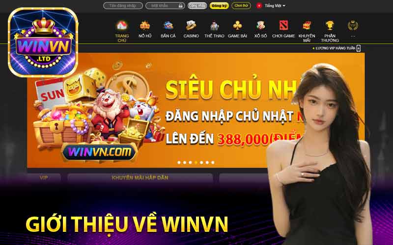 Giới thiệu về Winvn