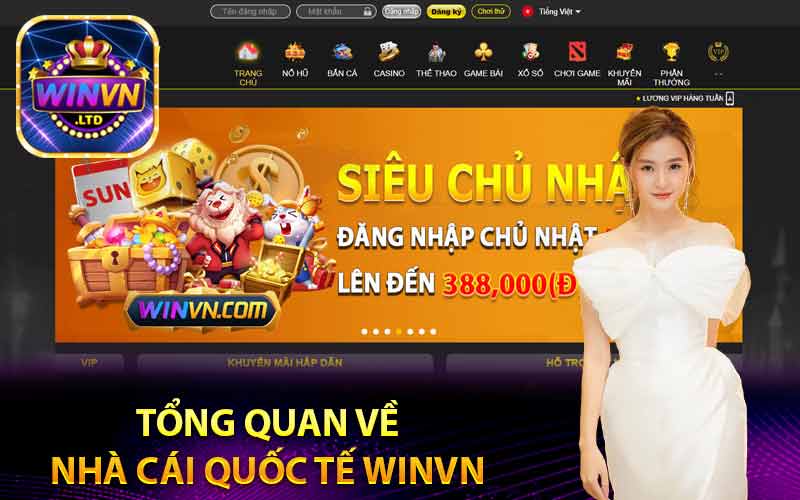 Tổng quan về nhà cái quốc tế Winvn